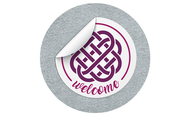 Carpet Stickers Application Image