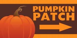 Pumpkin Patch