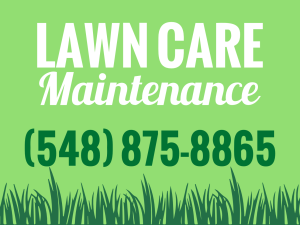 Lawn Care Maintenance